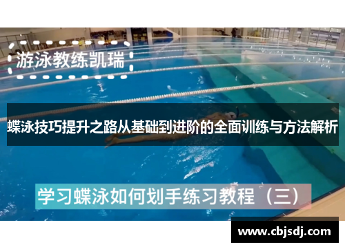 蝶泳技巧提升之路从基础到进阶的全面训练与方法解析